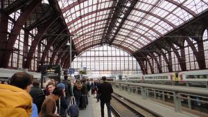 Volunteer as an Expat: Close the Gap Between 