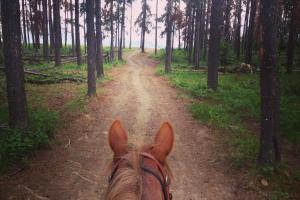 Lessons From Working 